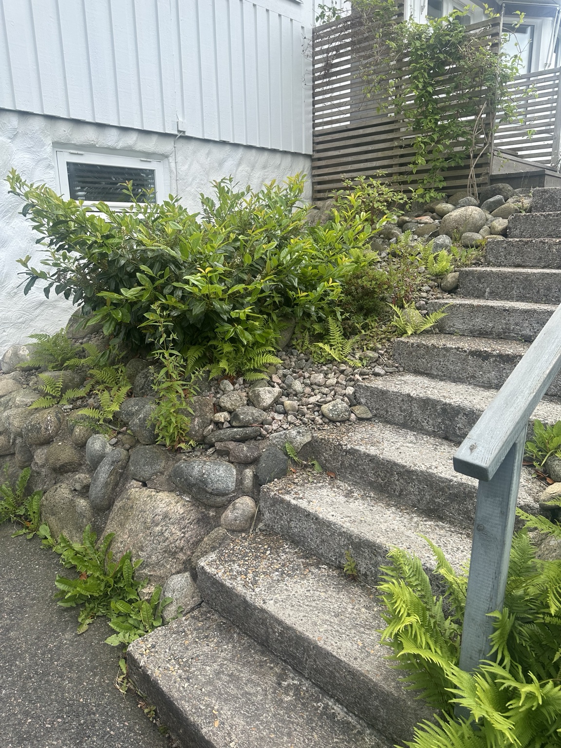 Trappa före markarbete